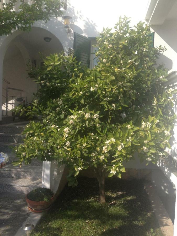 Apartmani Vukicevic Vodice Ngoại thất bức ảnh